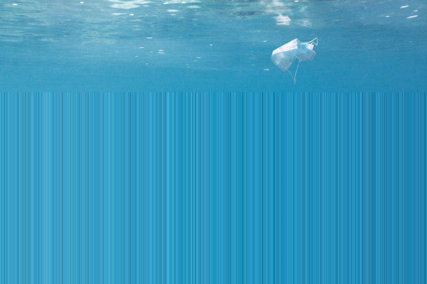 黑尖礁鲨和鱼游过珊瑚在清澈的蓝色海水与口罩污染图片下载