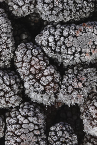 冷冻水果图片下载