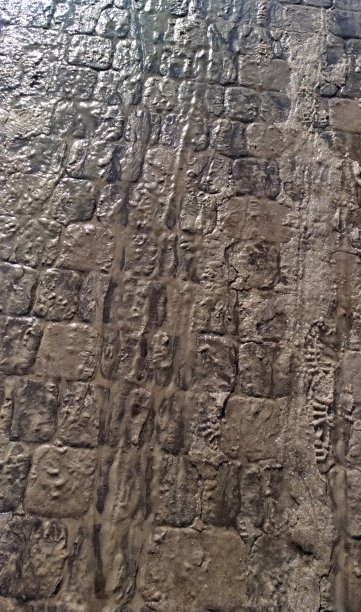 城市里的泥浆——又脏又湿的铺地砖图片下载