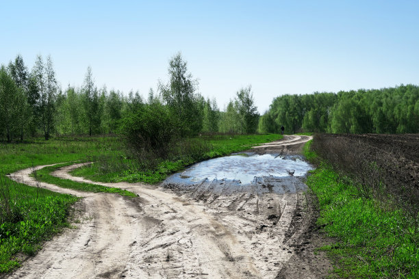 一条沿着绿油油的新鲜草地的路。图片下载