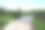一条沿着绿油油的新鲜草地的路。图片下载