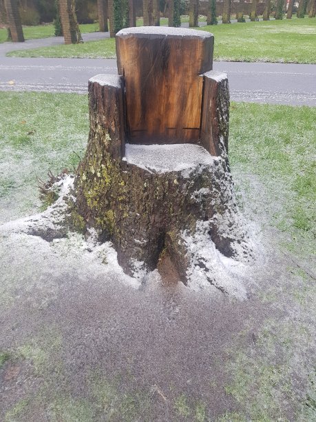 大树用霜雪剪成王座式样图片下载