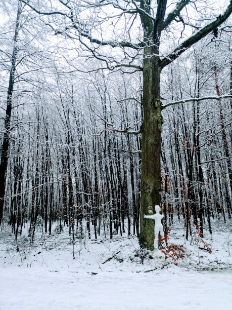 雪人抱着树图片下载