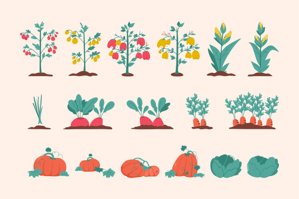 蔬菜农业植物集孤立图片下载