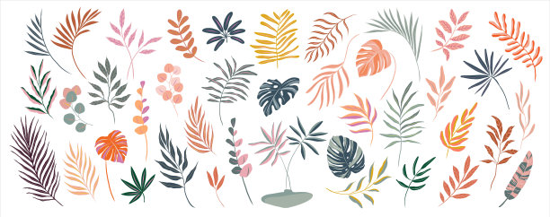 一套手绘现代热带外来的树叶和树枝插图孤立在白色的背景图片下载
