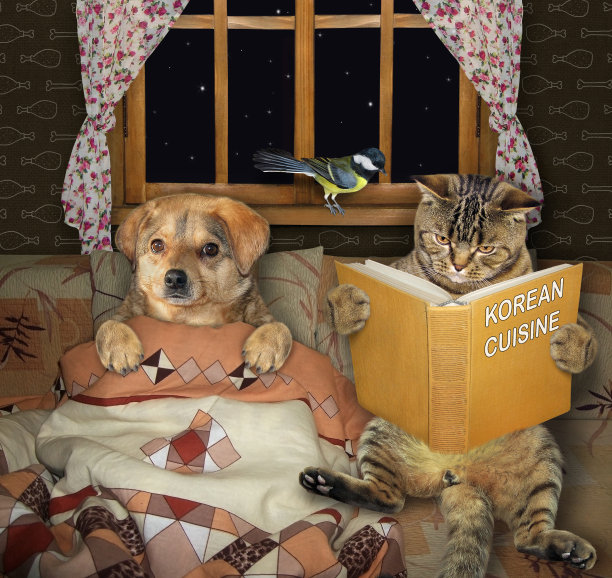 猫给狗2读睡前故事图片下载