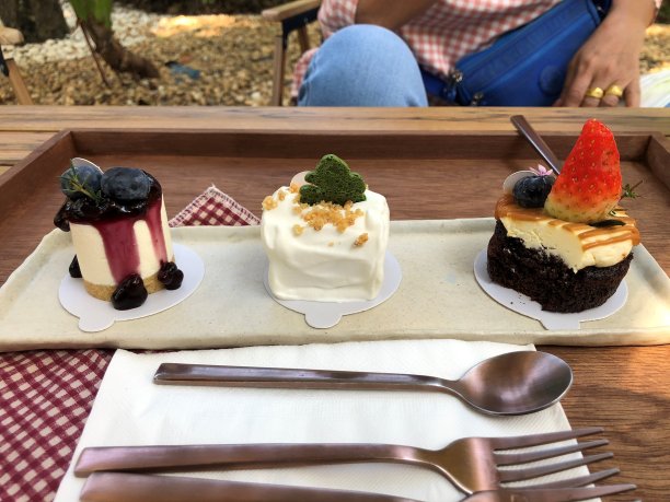 小块蓝莓芝士蛋糕，椰子奶油蛋糕和巧克力蛋糕，搭配甜点叉子和勺子图片下载