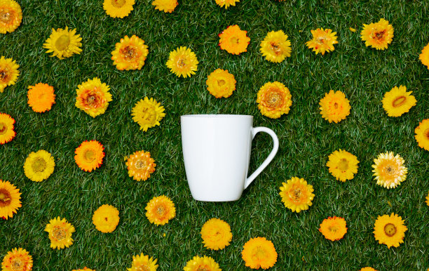 绿色草地上的蒲公英花和一杯咖啡。图片下载