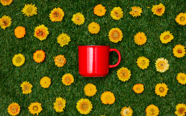 绿色草地上的蒲公英花和一杯咖啡。图片下载