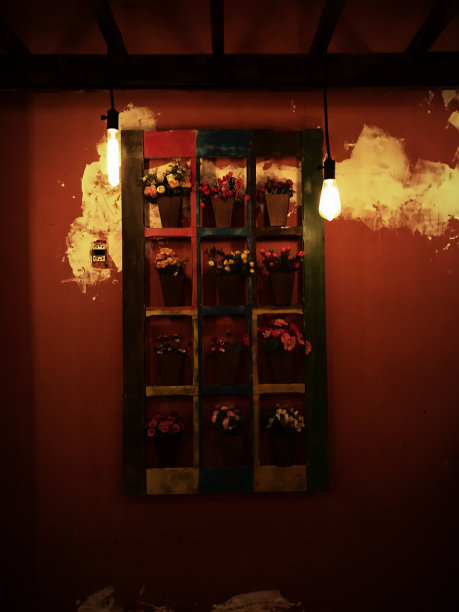 酒吧里的花图片下载