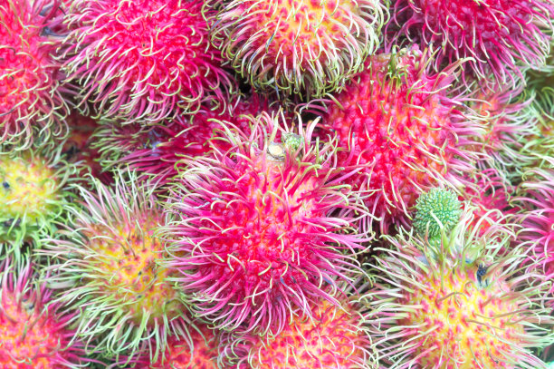 一堆红毛丹或甜而美味多汁的水果，用作背景图片下载