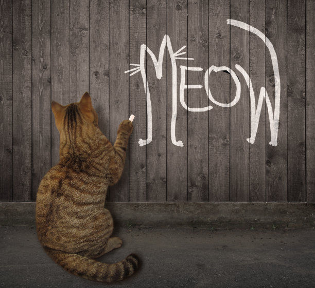 猫米色写喵图片下载