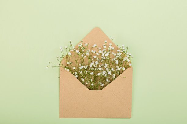 从上面看，在牛皮纸信封与复制空间的gypsophila。妇女节背景，3月8日，情人节，2月14日。平铺样式，俯视图，模型，模板，上方。贺卡图片下载