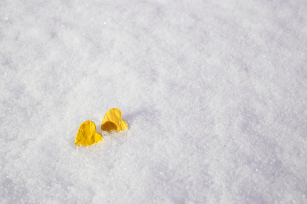 概念情人节:照亮心中的雪。有选择性的重点图片下载
