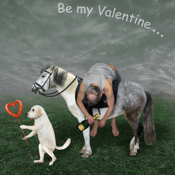 狗和醉鬼在马上图片下载