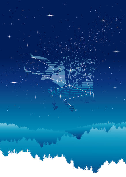 漂浮在夜空中的牛头图片下载