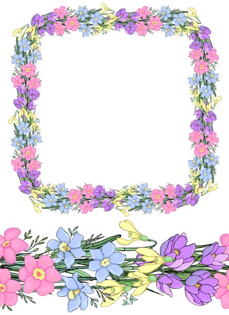 框架和无缝边界的野花。用于设计的装饰孤立元素。图片下载