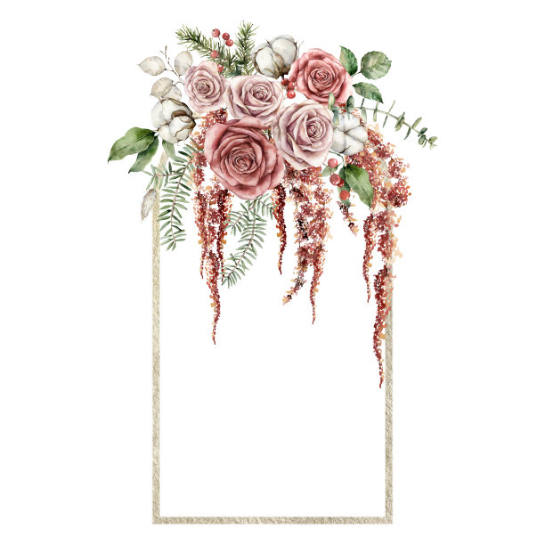 水彩圣诞金框粉红玫瑰，棉花和冷杉树枝。手工绘制的节日贺卡与鲜花和树叶孤立在白色的背景。插图设计，印刷或背景。图片下载