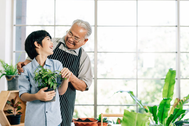 亚洲退休爷爷和他的孙子微笑着，一起享受在室内花园照顾植物的优质时间。老幼之间的家庭纽带。图片下载