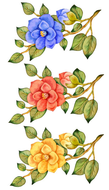 水彩插图图片下载