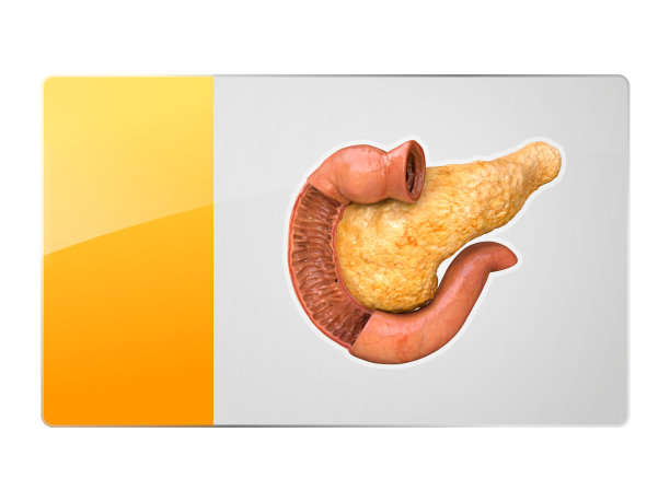 胰腺符号，按钮，器官图标的网页设计，3d和2d图形图片下载