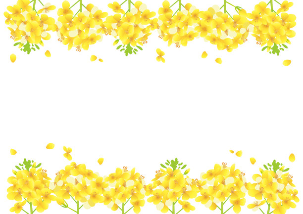 花架，上下装饰(侧长A3、A4比例)图片下载