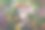 可爱的，迷人的蹒跚学步的小女孩与复活节兔子耳朵吃巧克力兔子图在鲜花草地。在阳光明媚的日子里，带着五彩缤纷的鲜花，在户外快乐的宝宝。图片下载
