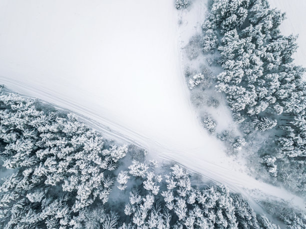 从无人机上看白雪覆盖的冷杉树，车在森林田野。美丽的冬季雪景图片下载