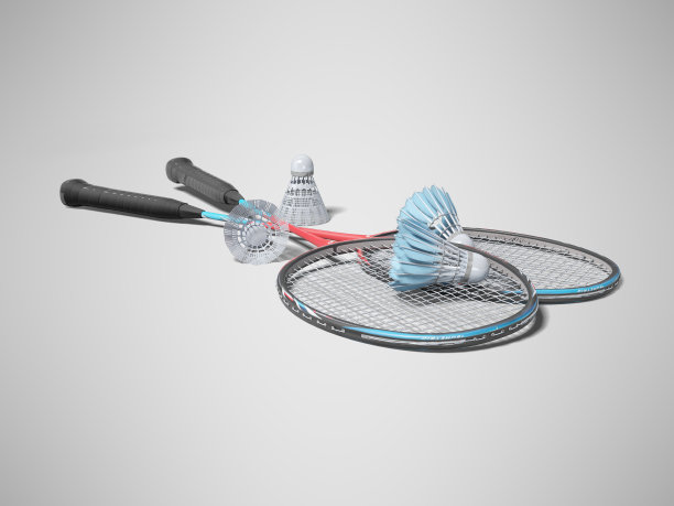 羽毛球拍的3d渲染与羽毛球为成年人在灰色的背景与阴影图片下载