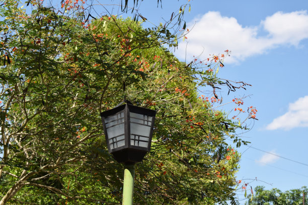 花园灯图片下载