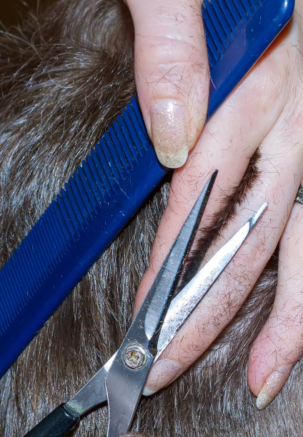 肖像男子在理发店发型师图片下载