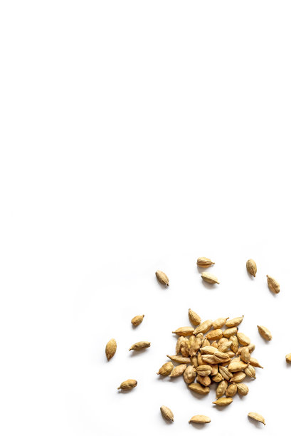 一堆干燥的有机小豆蔻种子孤立在白色的背景上图片下载