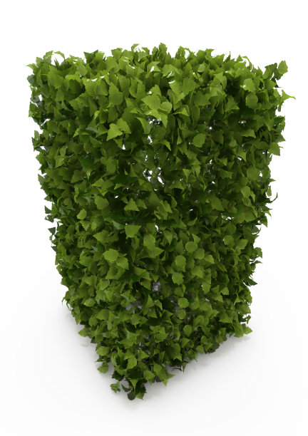 绿色灌木处理自然主题。三维演示图片下载