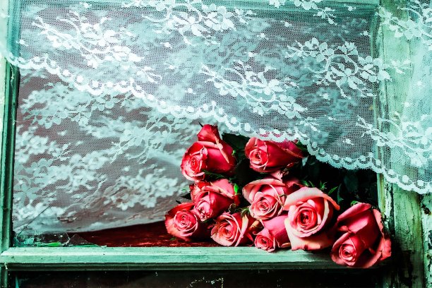 玫瑰背后花边图片下载