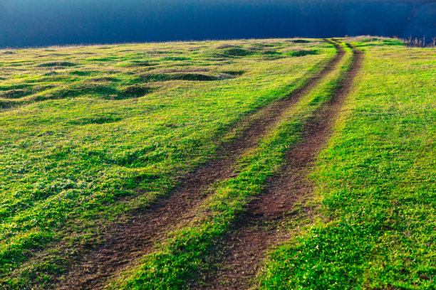 道路绿色草地图片下载