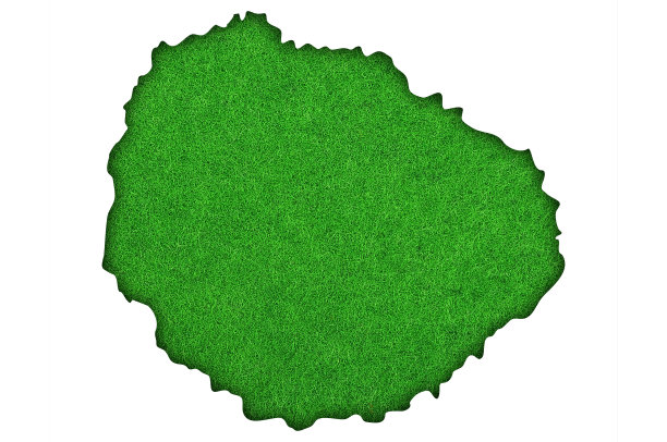 绿色毛毡上的戈梅拉地图，图片下载