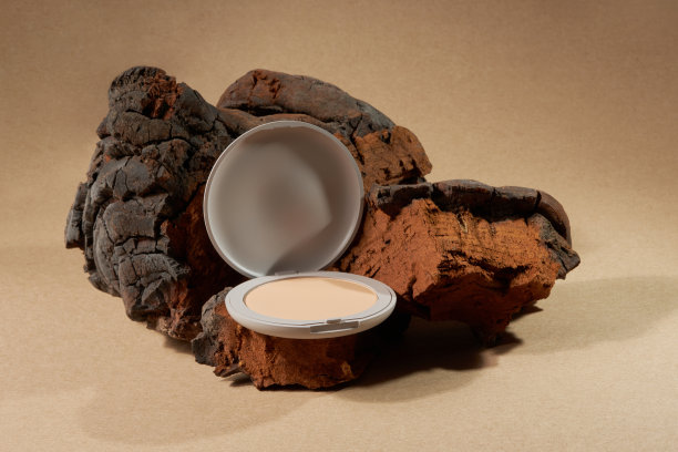 特写的脸部紧致粉上的一个天然的查加蘑菇图片下载