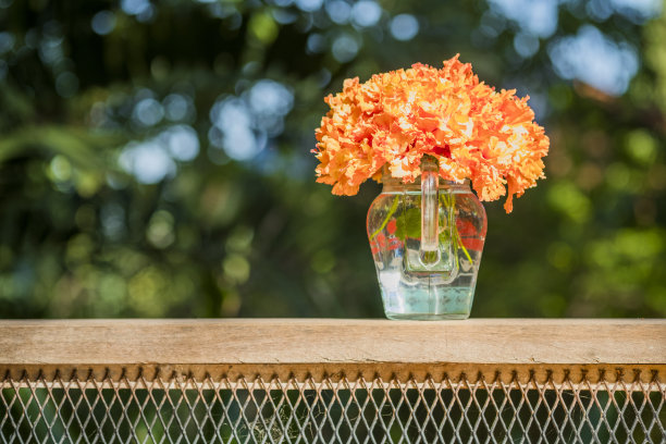 美丽的鲜花图片适合使用在图形关于爱情，婚姻，情人节。图片下载
