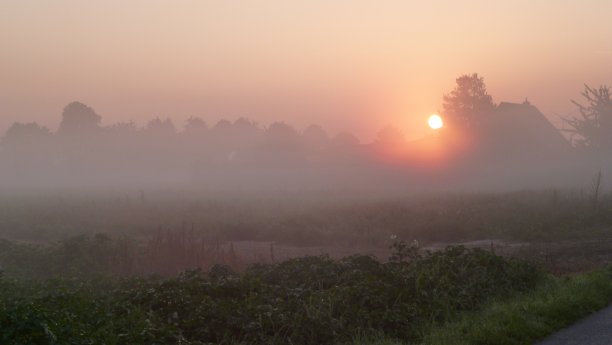 雾中的日出图片下载