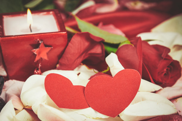 一对黑天鹅的形象在一个节日的背景图片下载