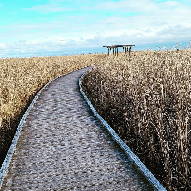 宁静的途径图片下载