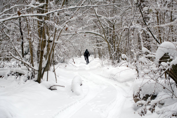 极限运动爱好者在户外骑着胖自行车。图片下载