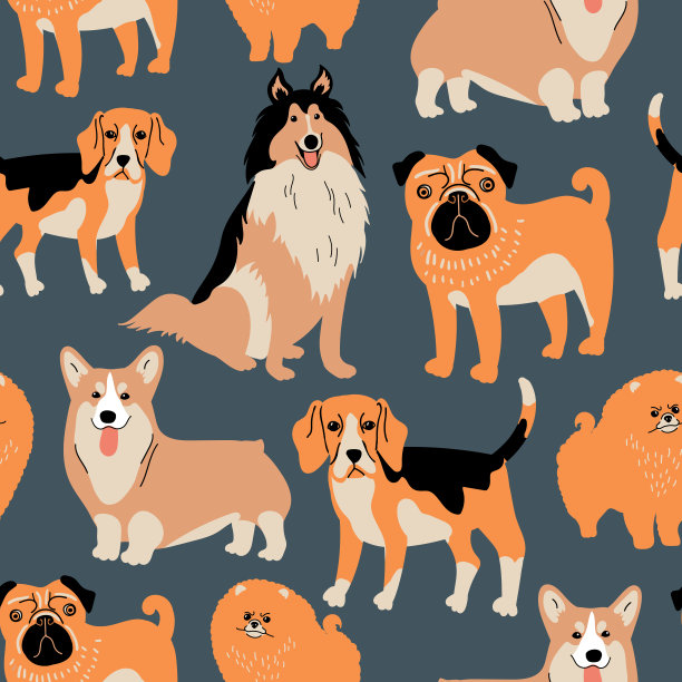 向量无缝模式与柯基，柯利牧羊犬，哈巴狗，比格犬和博美犬在深蓝色的背景。可爱的狗织物插图，纺织品，背景，壁纸图片下载