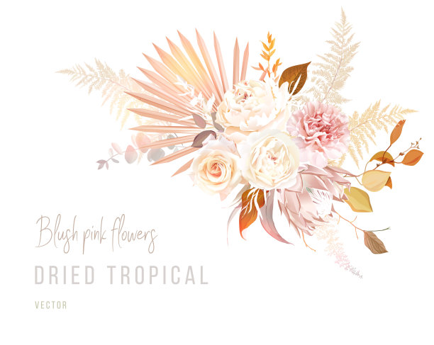 时髦的干棕榈叶，浅粉色和锈玫瑰，苍白的protea，白色牡丹，毛茛图片下载