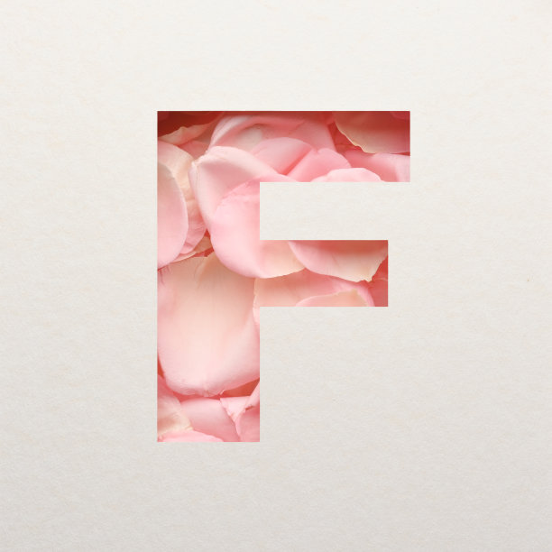 字体设计，字母字体与粉红色玫瑰花瓣，现实的花排版- F图片下载