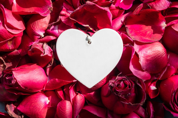 白色心形的浪漫的红玫瑰叶子。图片下载