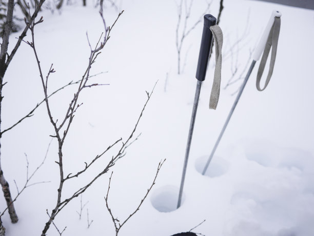 两根雪棍插在初雪中图片下载