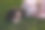 一张美丽的睡着的女人和野花在田野里的照片图片下载