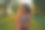 年轻美丽的运动混合种族妇女穿着运动服拿着瑜伽垫，看着相机和微笑而站在绿色公园图片下载