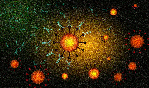 新冠病毒与抗体：疫苗的工作原理图片下载